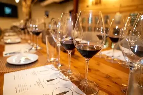 Wine tour for companies