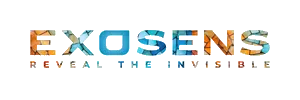 Company Logo in Mosaic